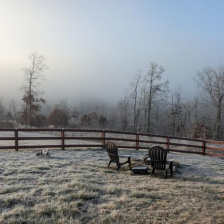 Great Little Guest Suite With Private Entry & Deck! Pet Friendly & 30 Mins To Nashville! Ashland City Eksteriør billede