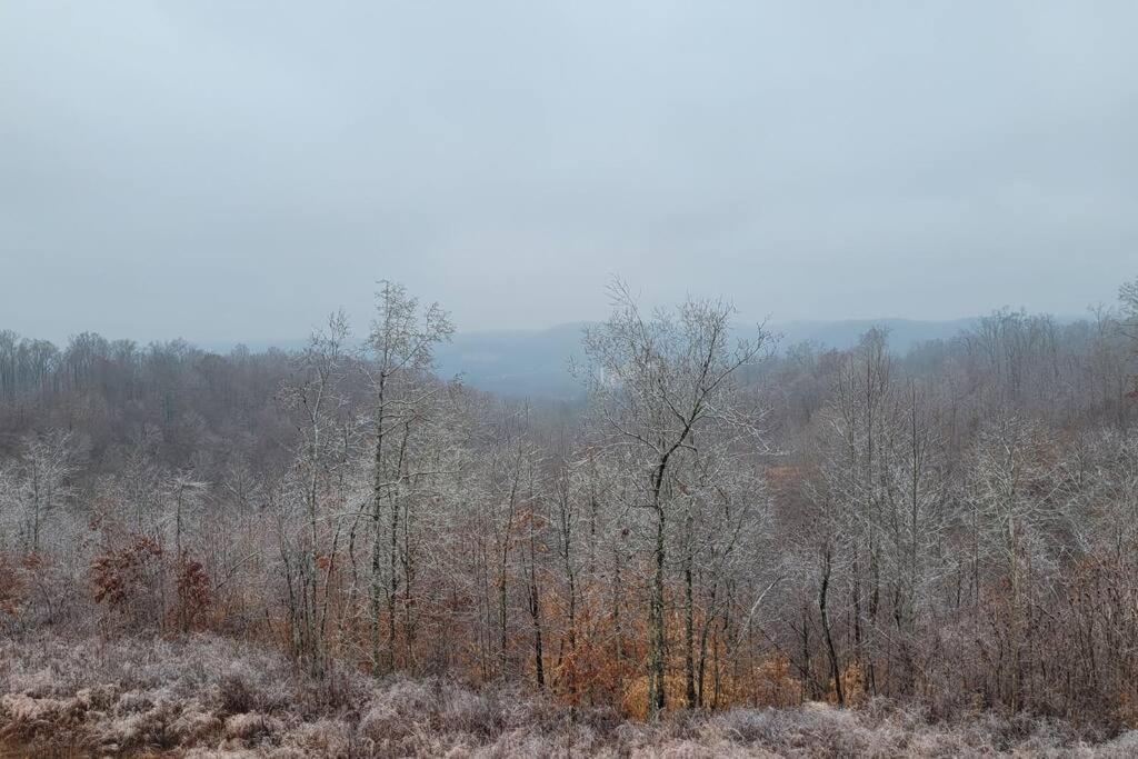 Great Little Guest Suite With Private Entry & Deck! Pet Friendly & 30 Mins To Nashville! Ashland City Eksteriør billede