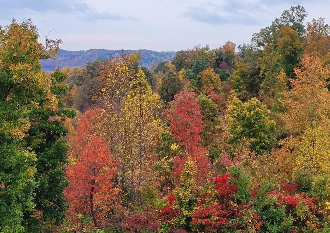 Great Little Guest Suite With Private Entry & Deck! Pet Friendly & 30 Mins To Nashville! Ashland City Eksteriør billede