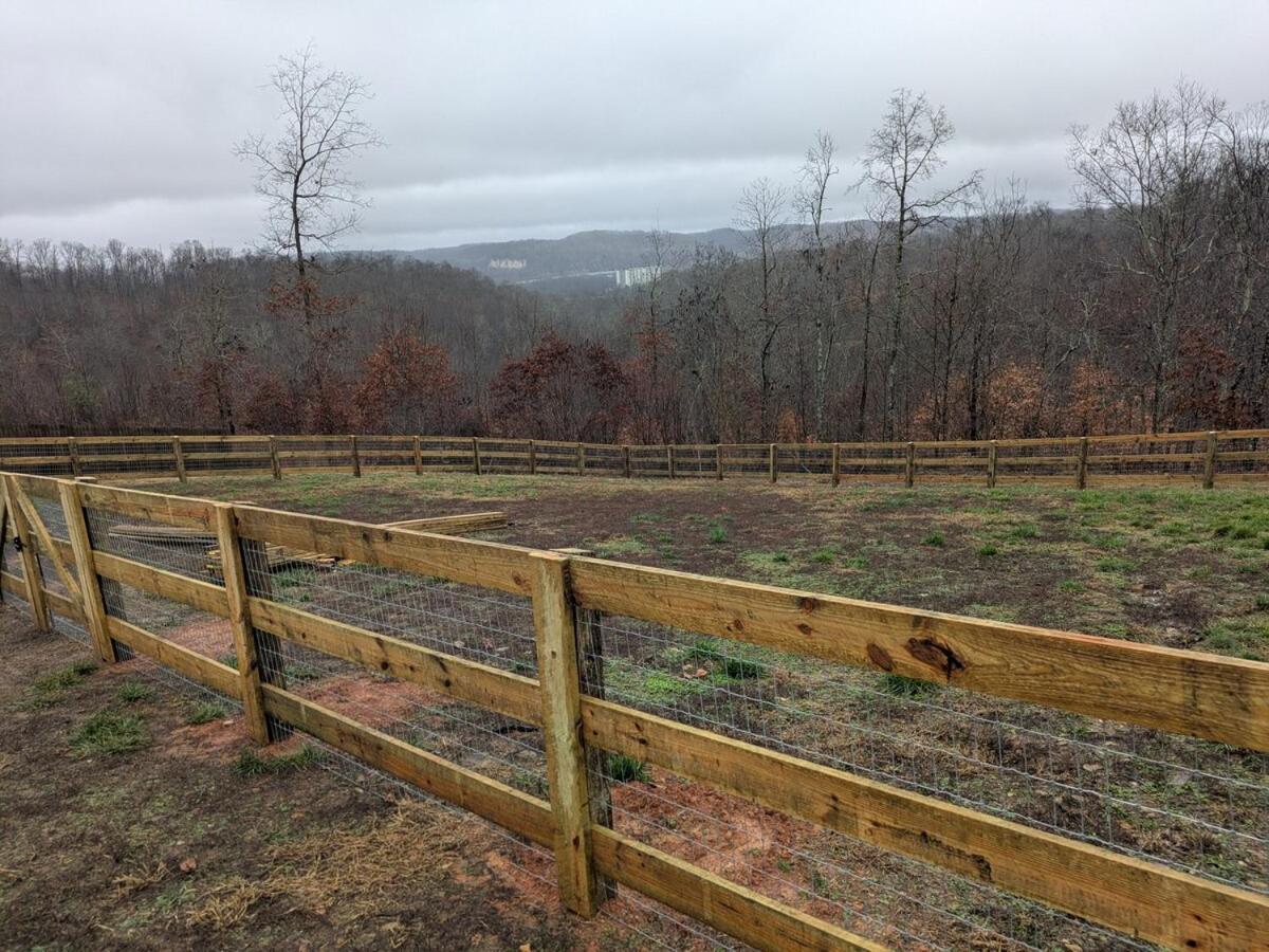 Great Little Guest Suite With Private Entry & Deck! Pet Friendly & 30 Mins To Nashville! Ashland City Eksteriør billede